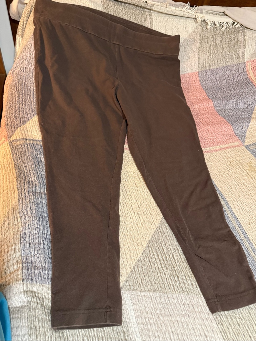 Terra & Sky Brown Stretch Leggings plus size 2X